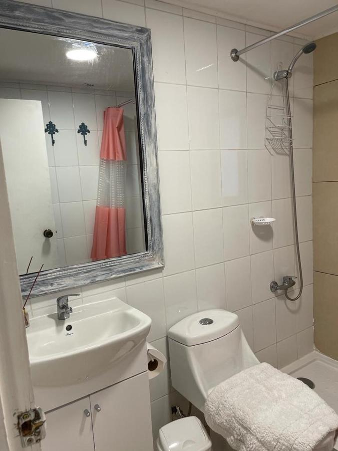 Apart Hotel Don Domingo 테무코 외부 사진