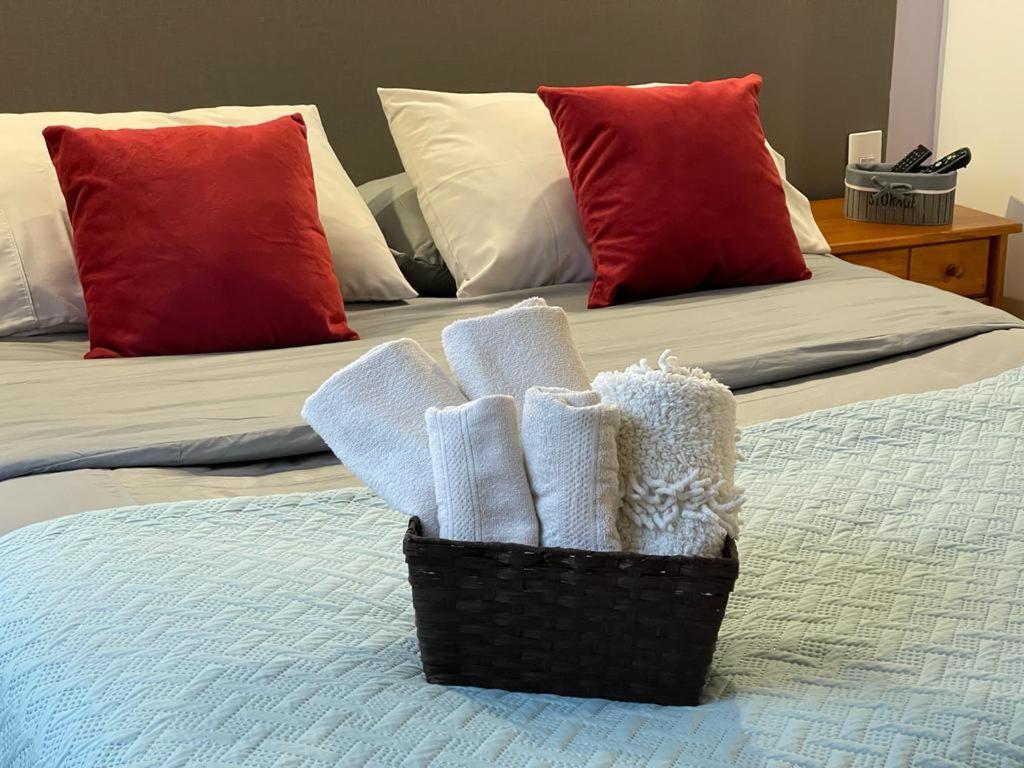 Apart Hotel Don Domingo 테무코 객실 사진
