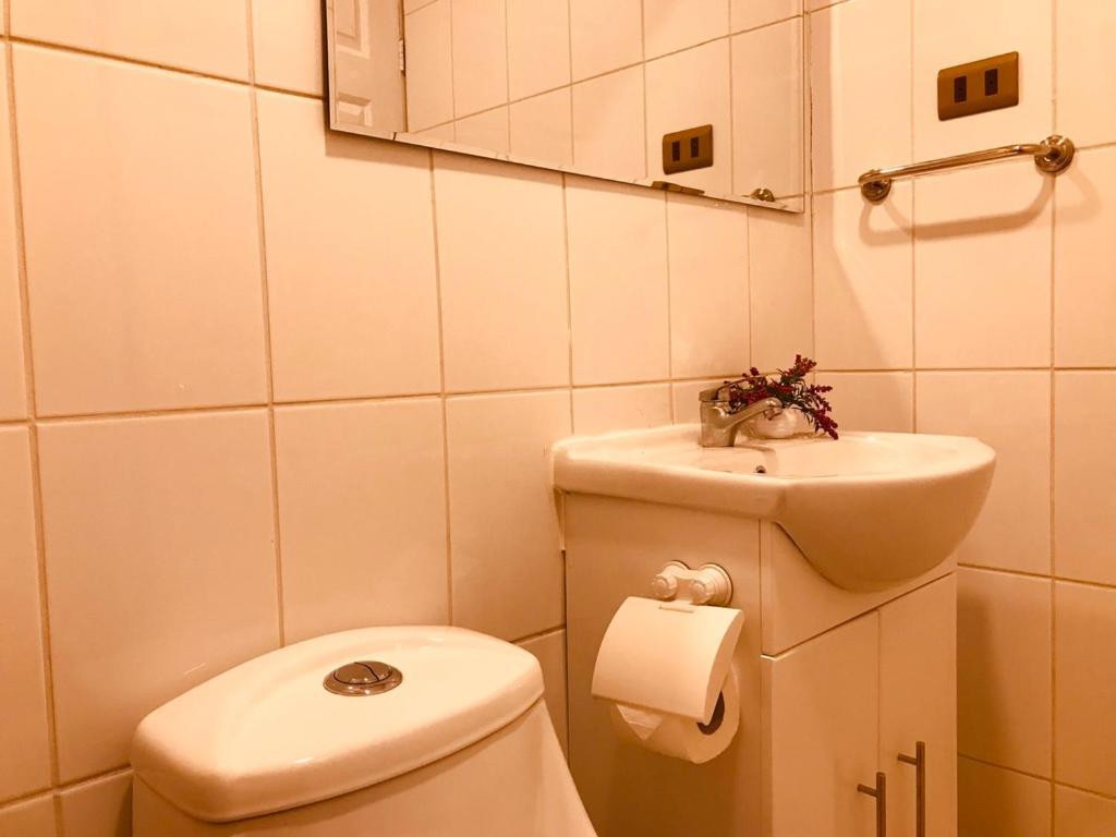 Apart Hotel Don Domingo 테무코 외부 사진